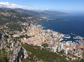 Point de vue à la tête de chien