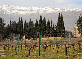 Domaine des Tourelles