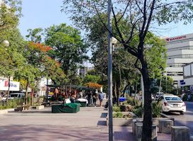 Corredor Cultural Chapultepec, Guadalajara, Jalisco.