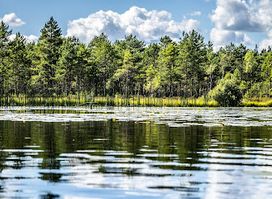 Teirumnīki Bog Trail