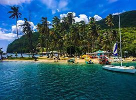 Curt Travel and Tours