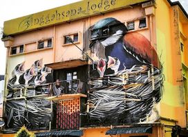 Wild about Kuching