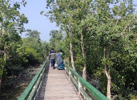 Hiron point trail. Khulna