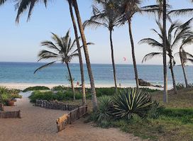 Turtle Bay Dive Center