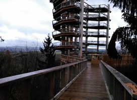 Treetop Walk Saarschleife