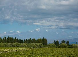 Uncorking Argentina Tours