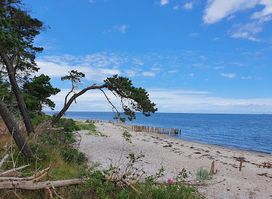 Enebærodde