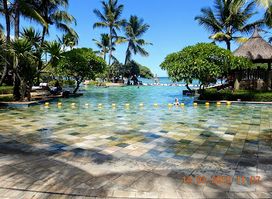 Sugar Reef West Coast