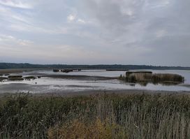 Laajalahti Nature Preserve