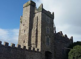 Drimnagh Medieval Castle