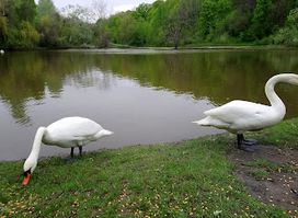 Poltava City Park