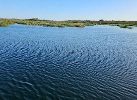 Piccaninnie Ponds Conservation Park