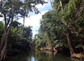Indian River Tours