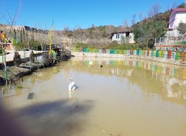 Nano Resort