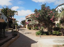 Cam's Restaurante e Cafetaria