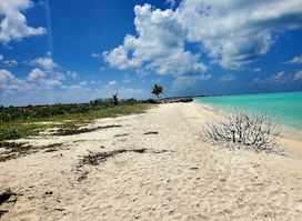 Dream Beach