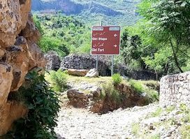Giri Fort
