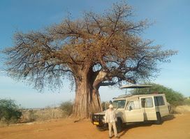 Widmans Tours & Safaris