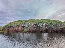 Saloum Delta