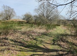 Skovgårde Voldsted