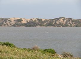 Younghusband Peninsula