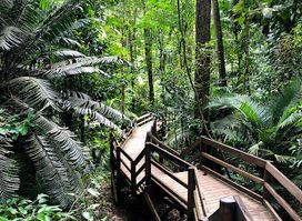 Jindalba Boardwalk