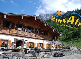 Binsalm