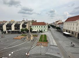 Prehliadky Trnavy