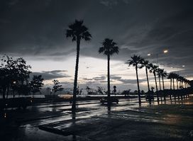 Lungomare
