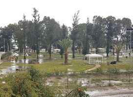 Alsalam Park