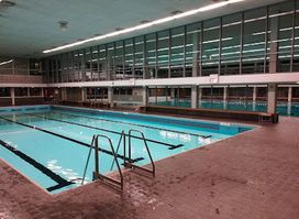 The pool Lieberg
