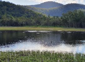 Hasties Swamp National Park