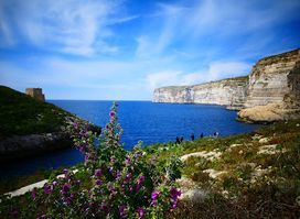Xlendi Bridge