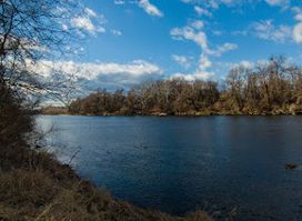 Drava, stara struga Starše-Zlatoličje / Drava, old riverbed Starše-Zlatoličje