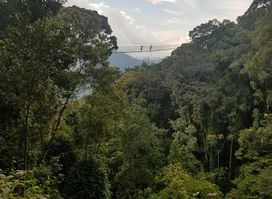Nyungwe