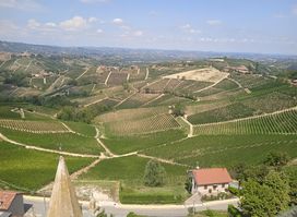 Strada del Barolo and Great Wines of Langa