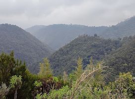 Mount Kipipiri