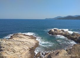 Aristotle's Park
