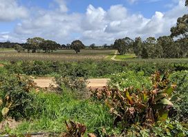 Barossa Chateau
