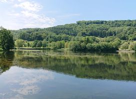 e-Lake Festival