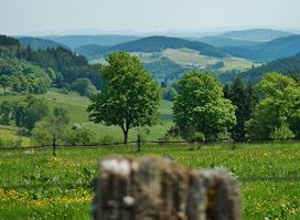 Naturpark Sauerland Rothaargebirge