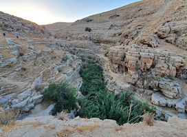 Ein Prat Nature Reserve