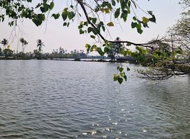 Kochi Tour