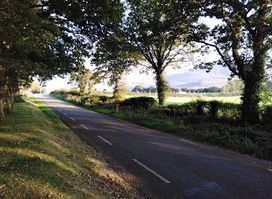 Killarney Guided Walks
