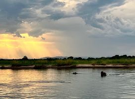 Zambezi Valley