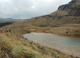 Lagunas Verdes del Volcán Chiles