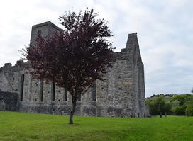 Sligo Abbey