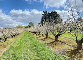 CherryHill Orchards - Wandin East