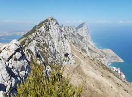 Mediterranean Steps