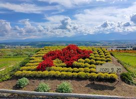 Flower Land Kamifurano